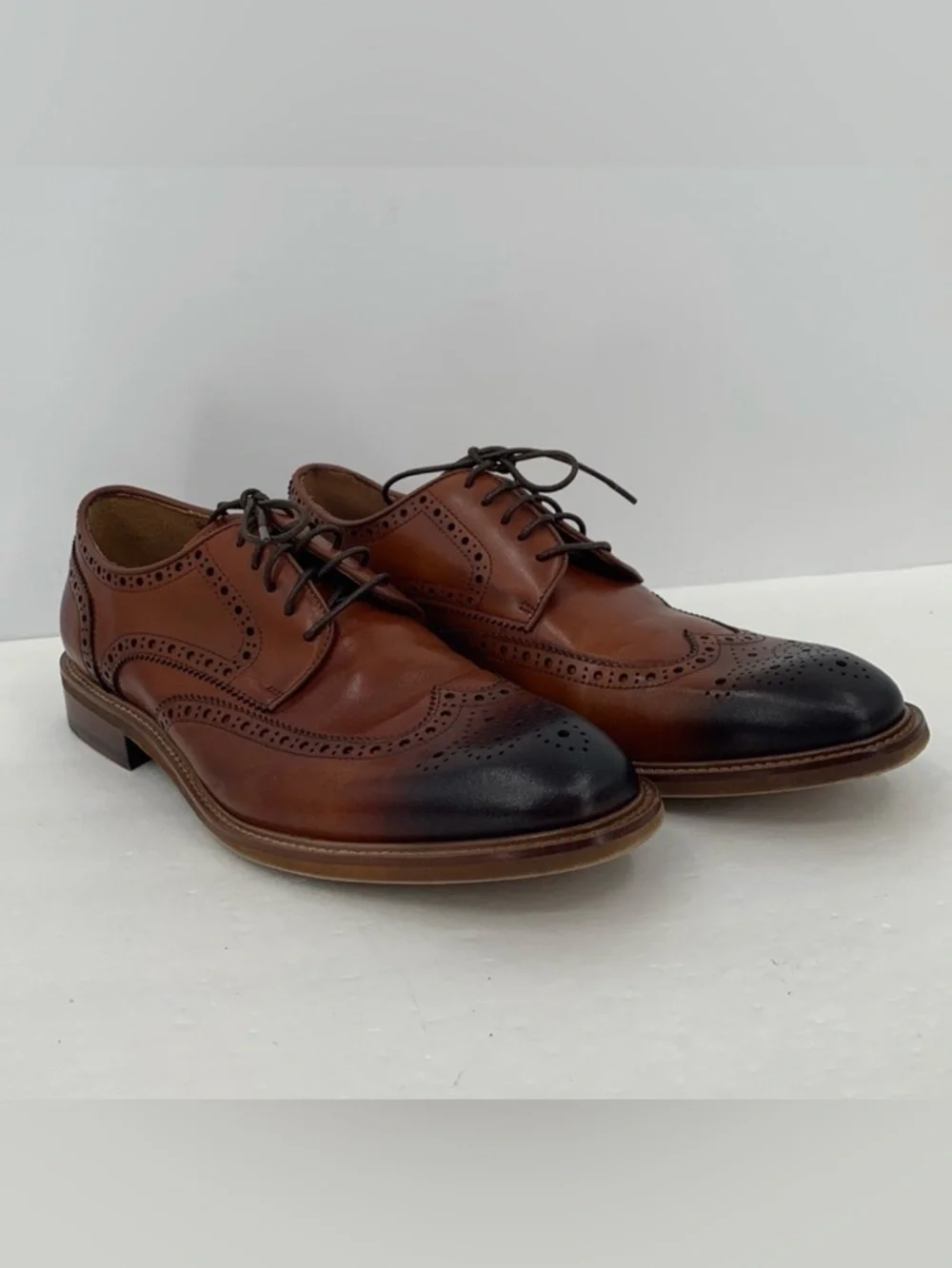 Steve Madden Hoxton wingtip derby shoe tie brown leather burnished oxford men 10